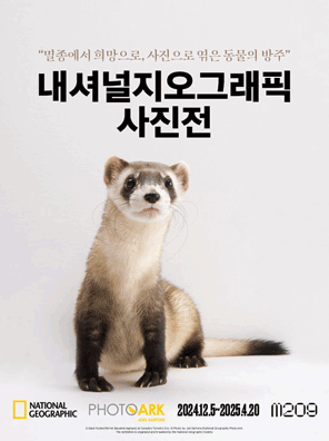 컨텐츠 이미지