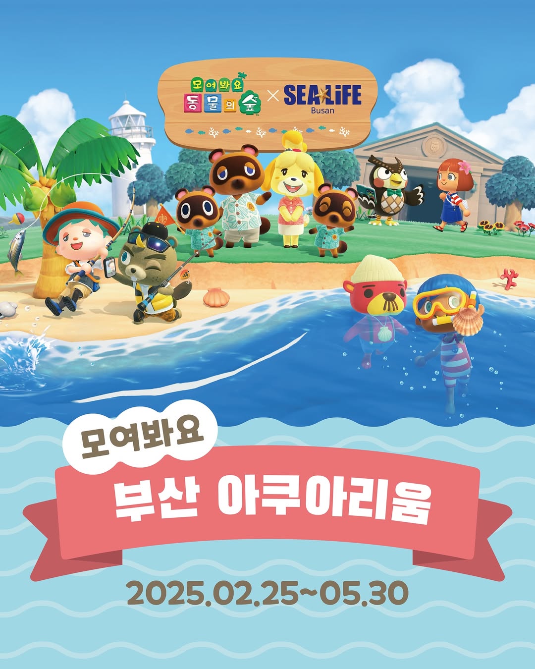 컨텐츠 이미지